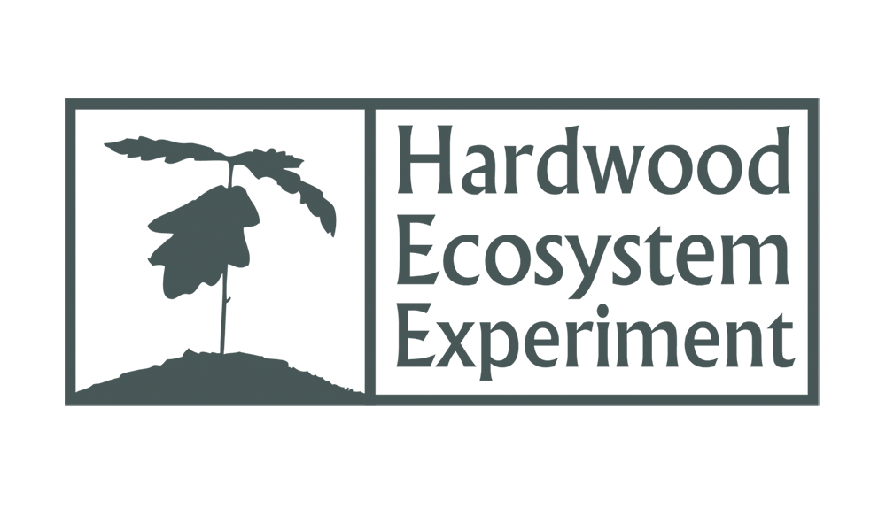 Hardwood Ecosystem Experiment logo