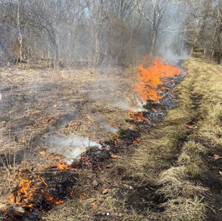 Jarred Brooke administering prescribed fire to aid new growth.