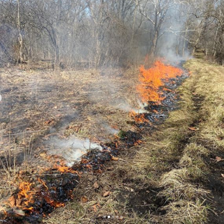 Prescribed Fire burns a field