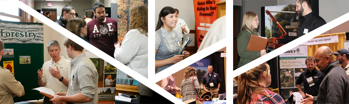 Career fair photos of student talking with employers in collage.