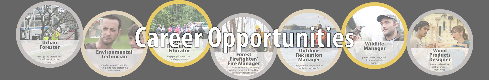 Banner showing the different FNR career opportunities.