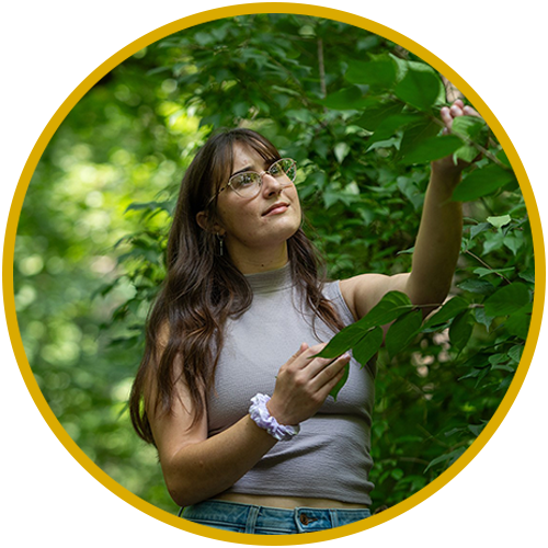 Conservation Biologist studying a tree