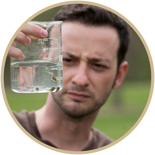 Environmental Technician holding a jar with tadpoles as he is gathering research data.