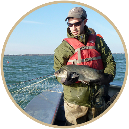 Fisheries biologist on boat in water holding a fish.