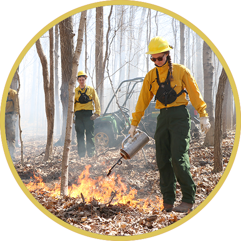 forestfirefightermanager_careers.png
