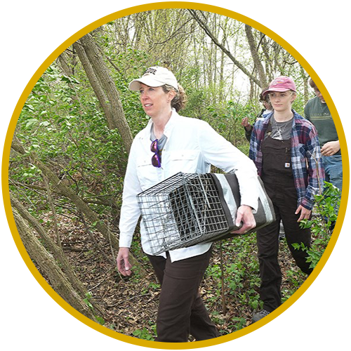 Wildlife biologist walking with a cage and students