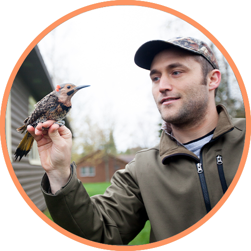 A wildlife manager with a bird.
