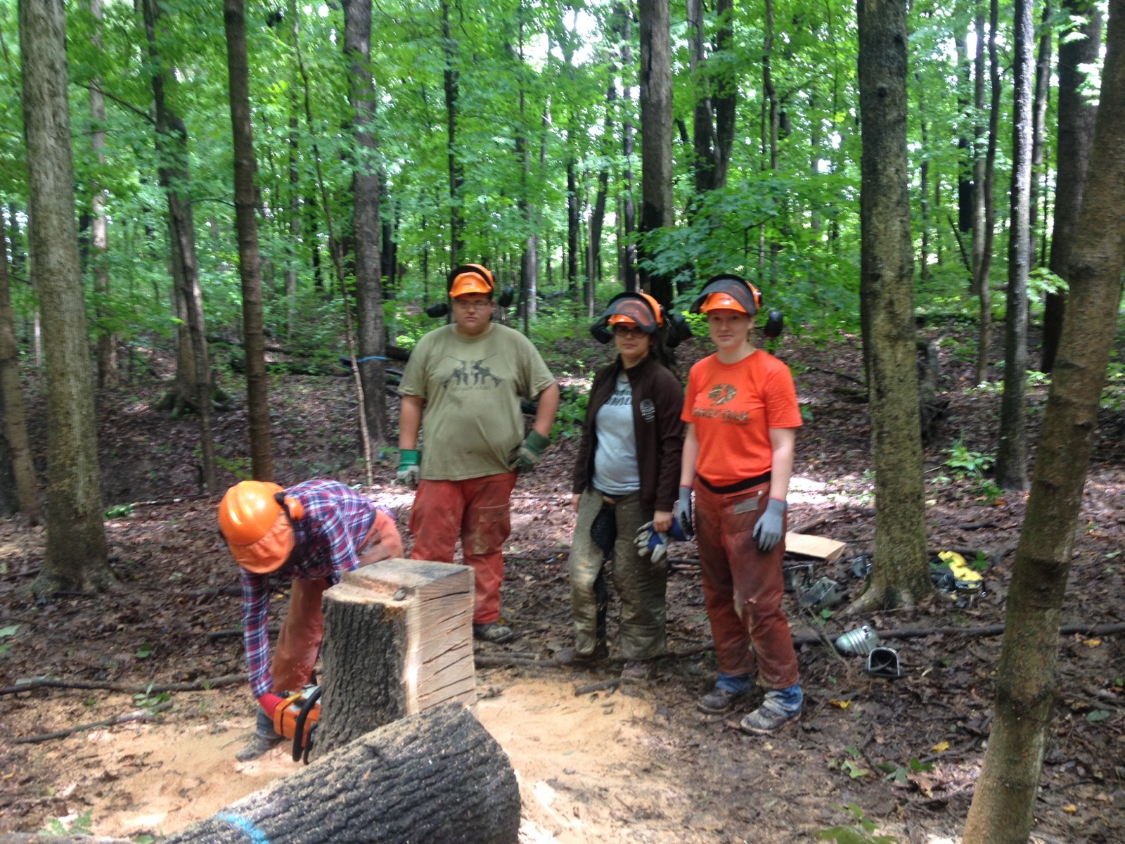 FNR Chainsaw Training with group in forest.