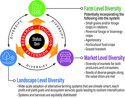 A graphic illustrating farm level diversity, market level diversity and landscape level diversity