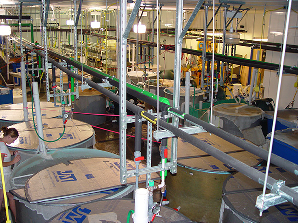 Aquatic Research Lab showing fish barrels.