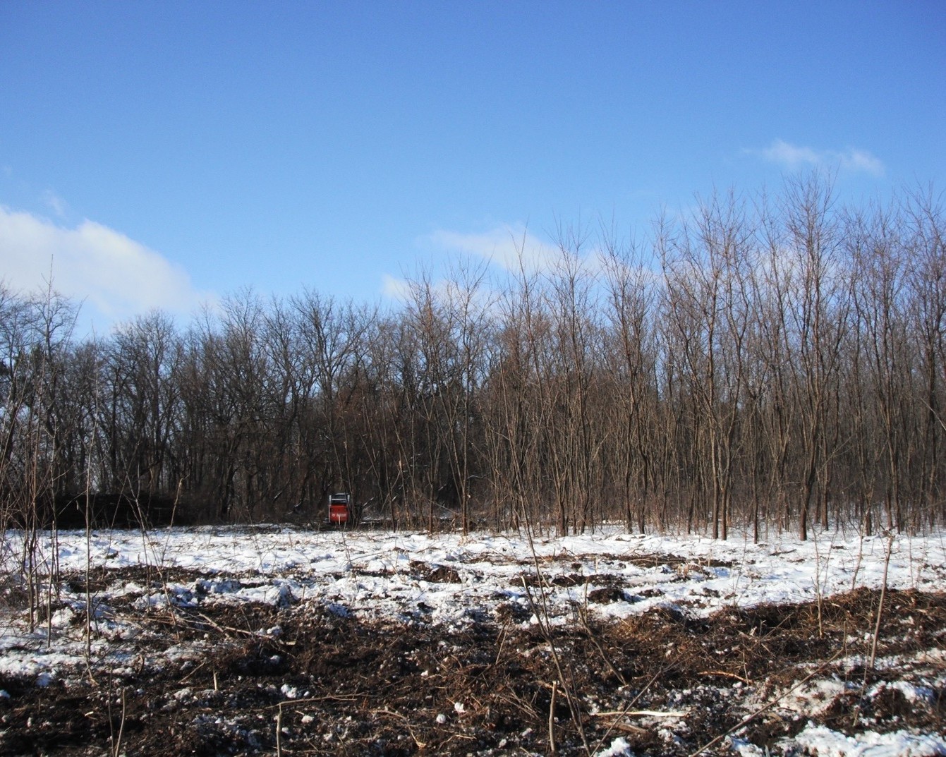 Doak Property snowy forest with equipment