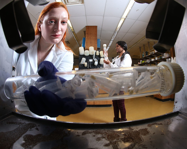 Genetics Lab