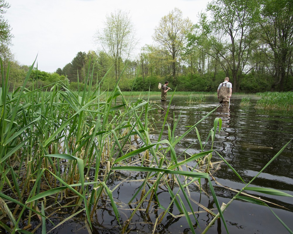 Dr. Jason Hoverman and student testing pond.