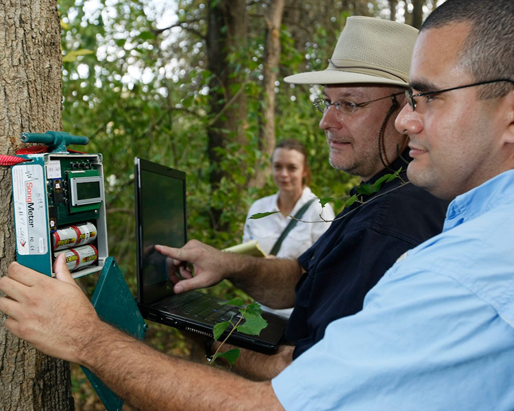 Dr. Bryan Pijanowski and student placing song meter on tree, Human-Environment Modeling and Analysis Lab (HEMA).