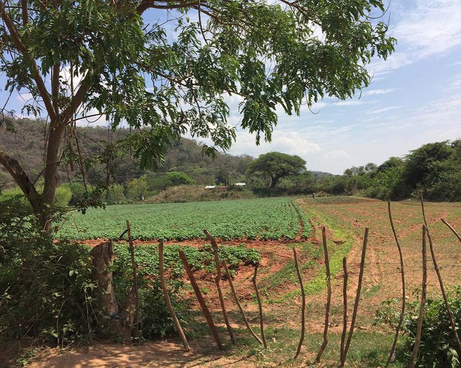 Farm with grass land, Natural Resource Social Science Lab.