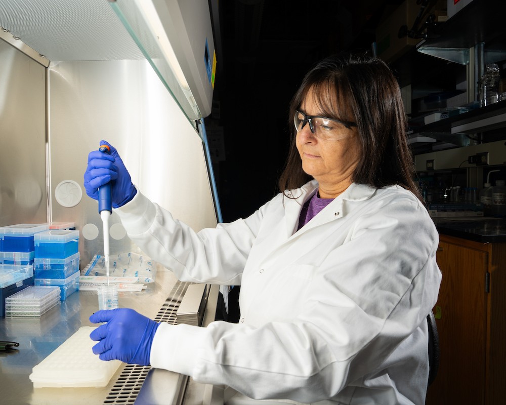 Dr. Sepulveda completing lab work in the lab