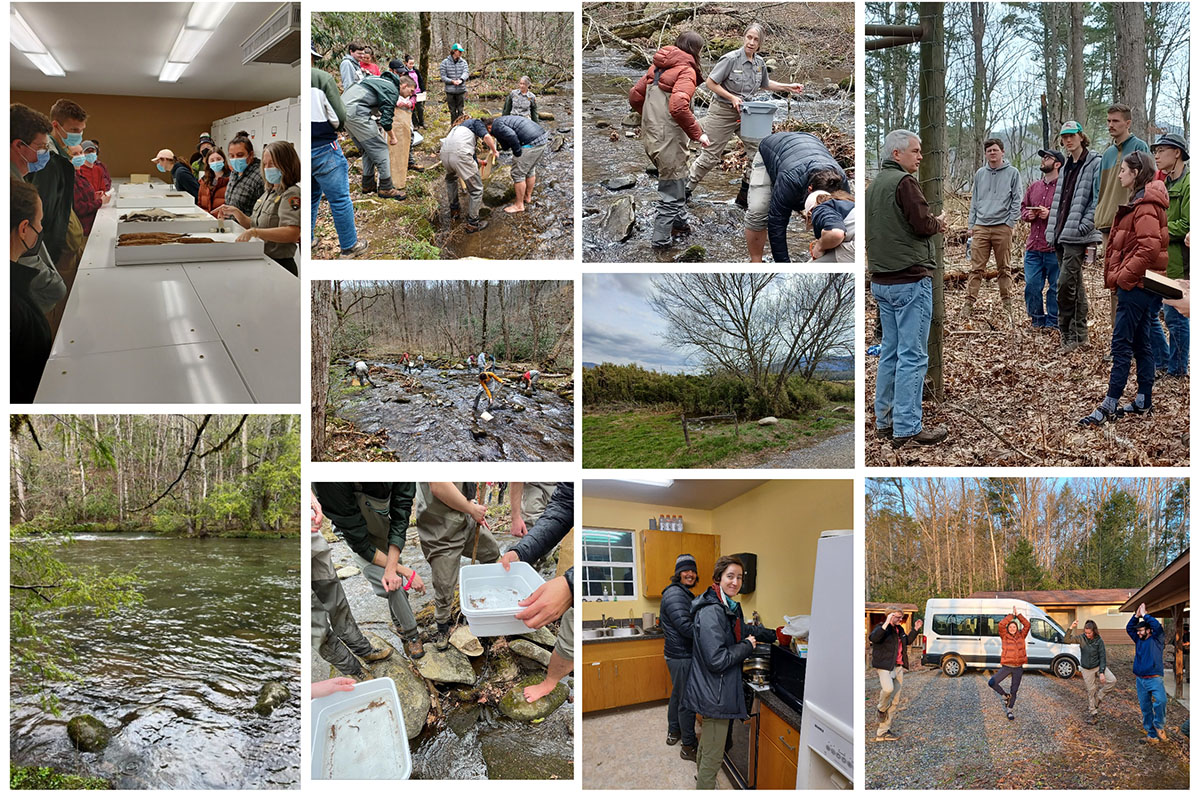 Smoky mountains day 2 collage