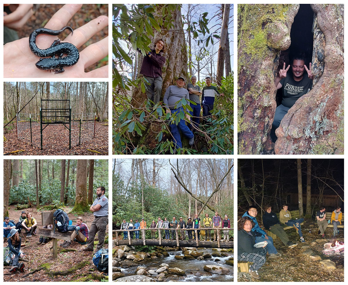 Smoky mountains day 3 collage