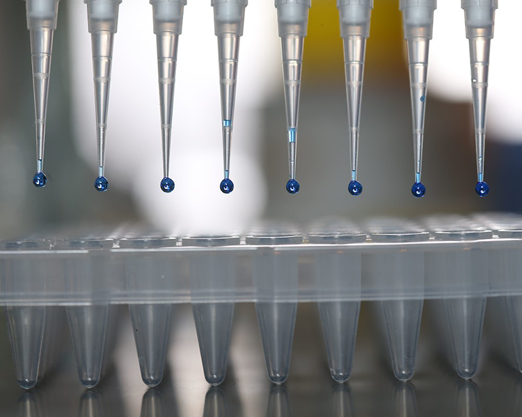 Test tubes, Wildlife Physiology Lab​.