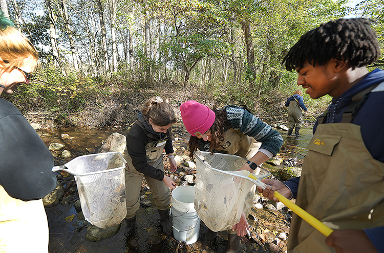 Students holding hand nets as they conduct research in river.