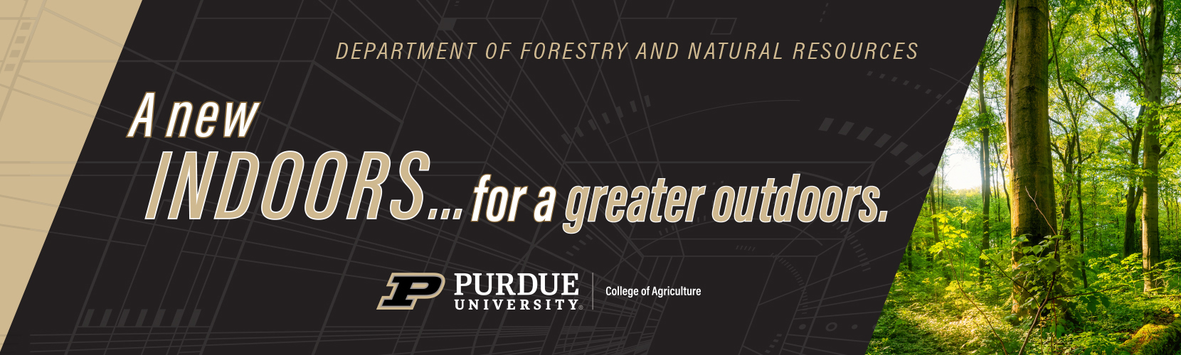 New building banner, architecture lines and forestry photo.