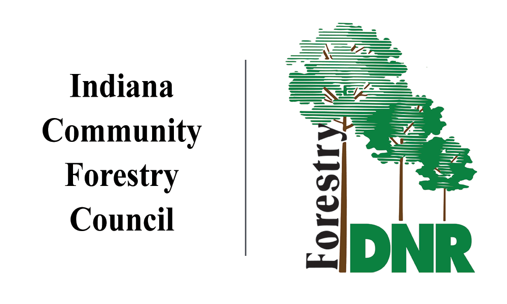 Indiana Community Forestry Council identity.