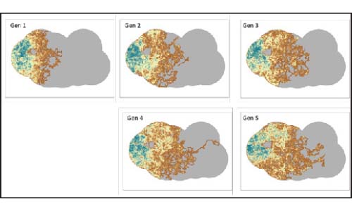 Influence of Human Activity Upon Wildlife Behavior and Demography, McIntire-Stennis Project, graphs of animal movement.