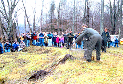 Scott Johnson at an otter release on the Blue River in 1999