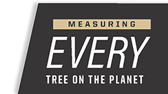 Measuring every tree on the planet, Institute for Digital Forestry.