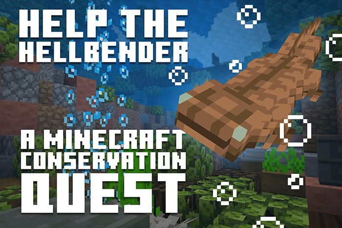 Help the Hellbender - A Minecraft Conservation Quest