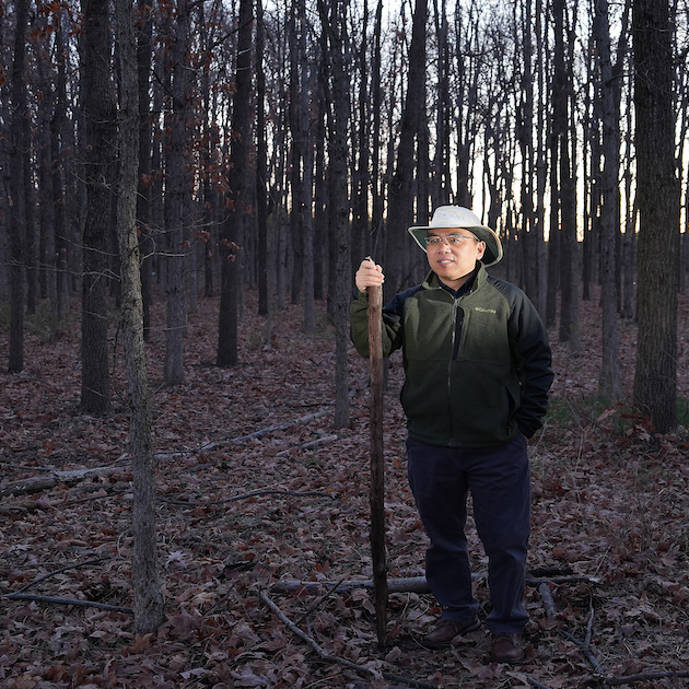 Songlin Fei standing in a forest