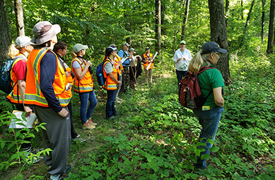 Participants in the Natural Resources Teachers Institute listen to HEE project coordinator Charlotte Owings in the forest