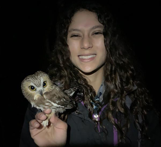 Student holding owl, wildlife research.