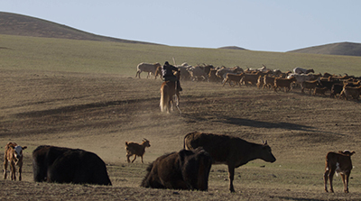 Herders in Mongolia