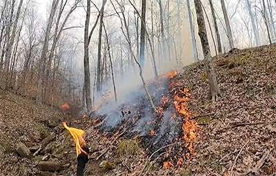 Prescribed fire on the Hardwood Ecosystem Experiment