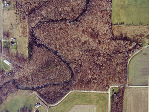 Aerial View of Darlington Woods.