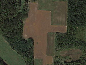 Doak Property aerial view.