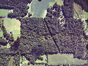 Finley Woods aerial view.