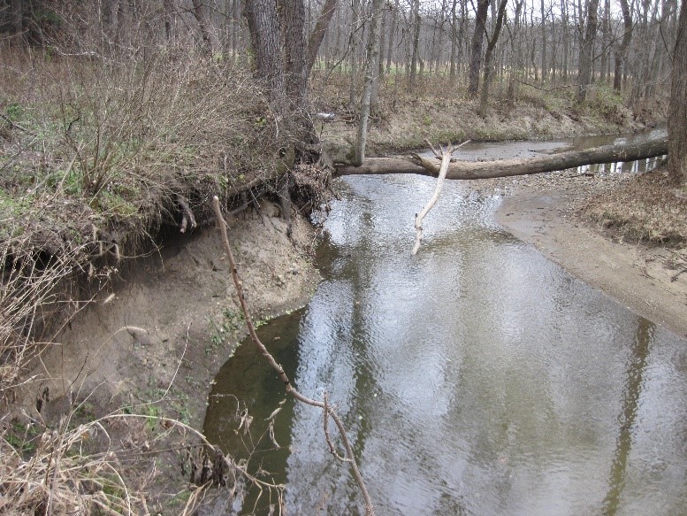 Martell Forest stream with side eroding.