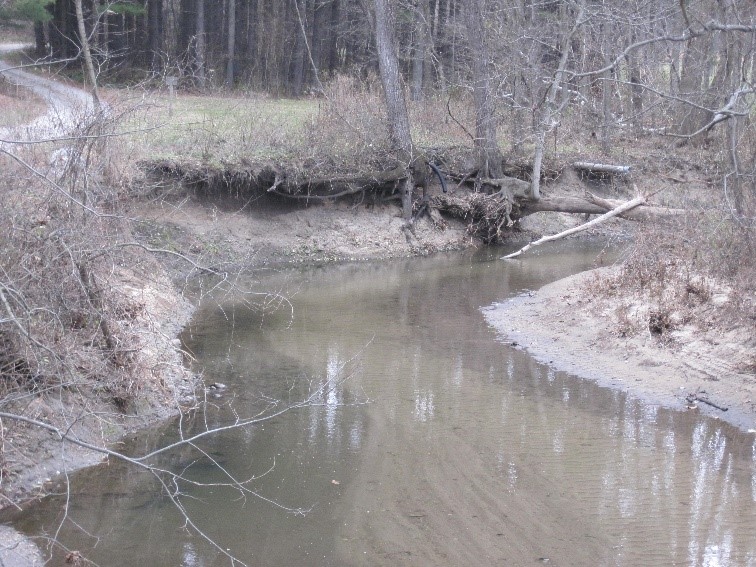 Martell Forest building retention wall around stream.