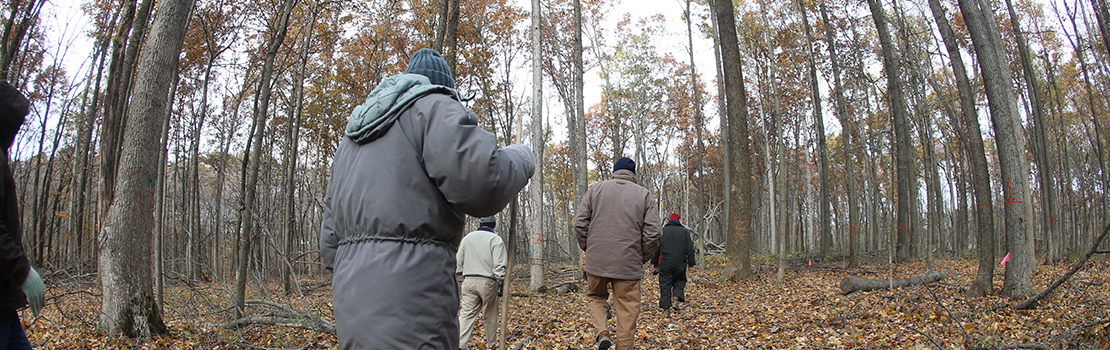 People walking in Martell Forest.