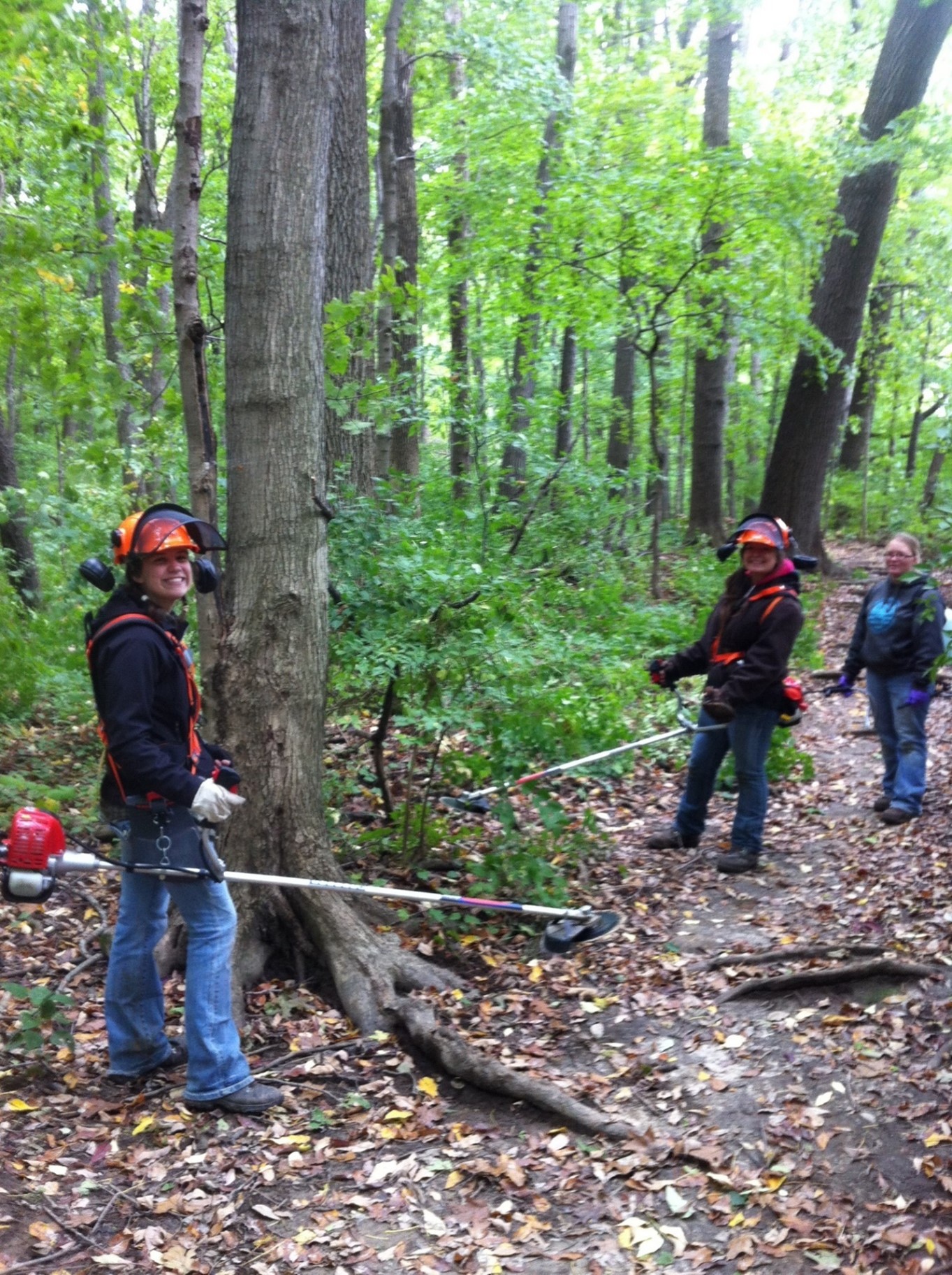 Invasive plant removal in 2014 using students. Photo by Brian Beheler.