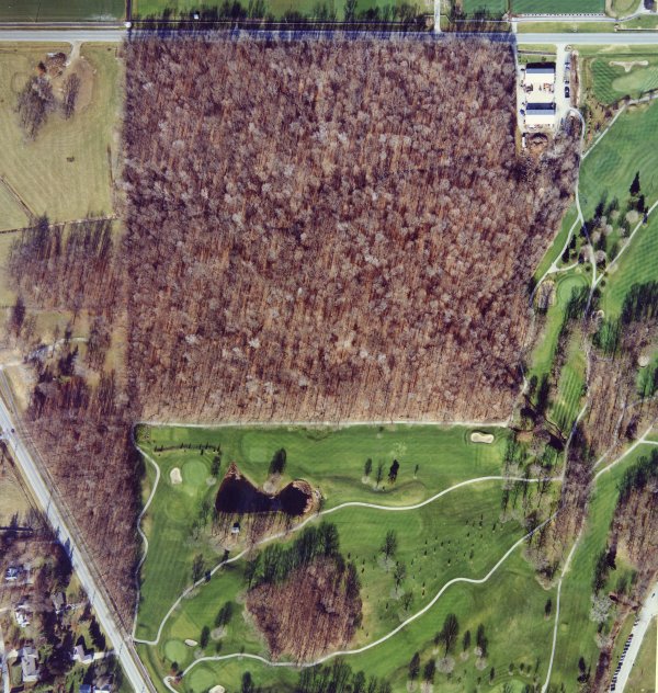 McCormick Woods property aerial view.