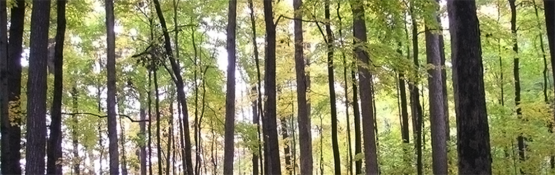 Welcome sign to McCormick Woods.