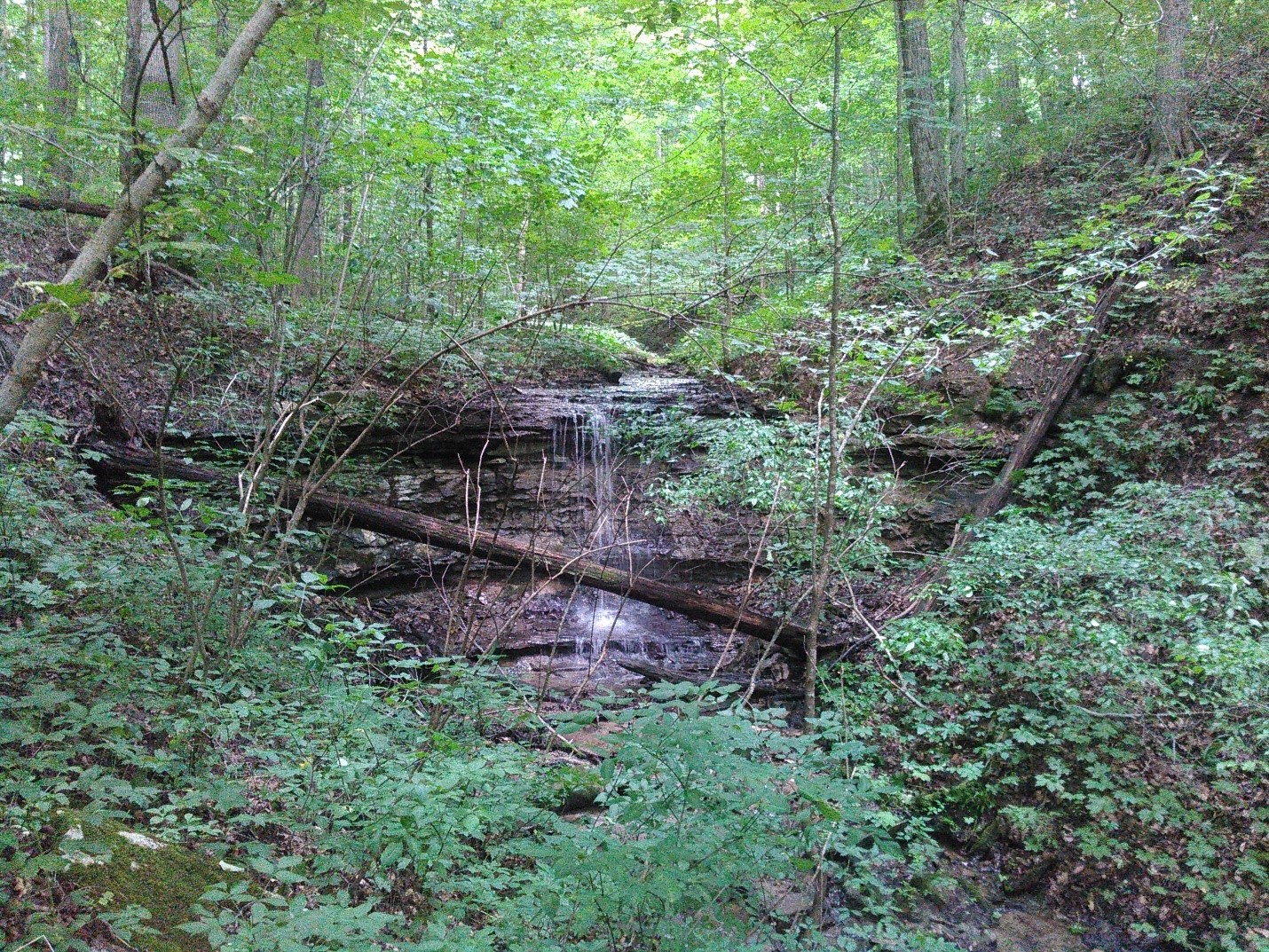 Natural waterfall feature located on-site. Photo taken by Don Carlson.