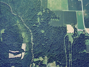 Nelson-Stokes-Lewman Woodland property aerial view.