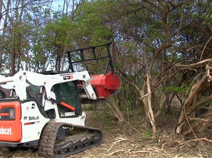 Loader clearing invasives, Purdue Wildlife Area.