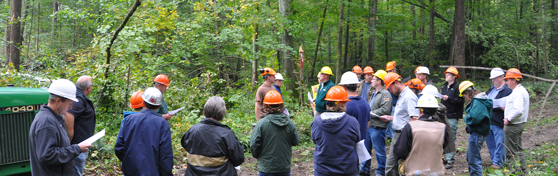 Staff sharing their expertise on forest management to a group of visitors.