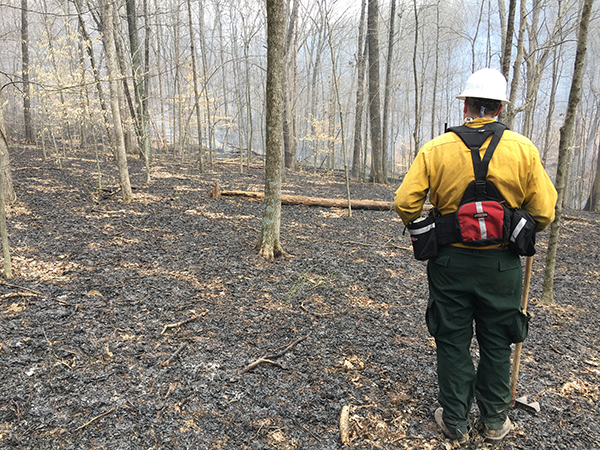 Staff in fire gear for prescribed fire burn at SIPAC property.