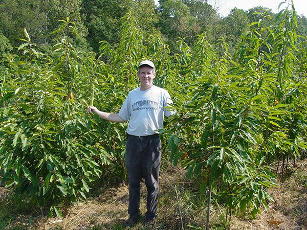 Ron Rathfon standing by young trees.